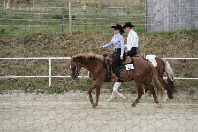 s_K3F07237.JPG